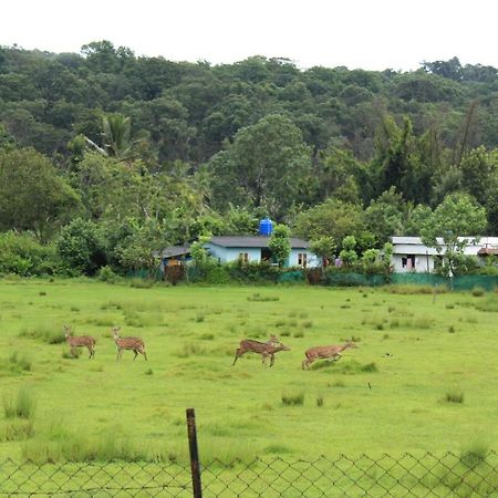 Jungleview Mudumalai Hotel Exterior photo