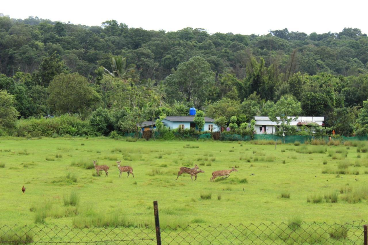 Jungleview Mudumalai Hotel Exterior photo